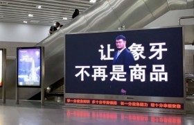 野生救援联合虎童科技地铁大屏媒体，呼吁拯救濒危野生动物