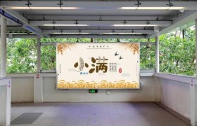 小得盈满为“小满”  籽粒渐熟五月天