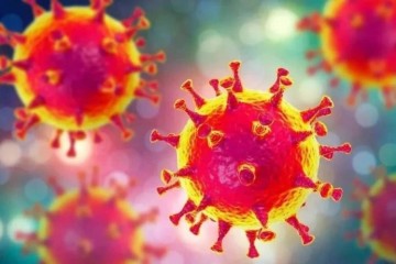 冠状病毒反击全球依然需求高度警戒