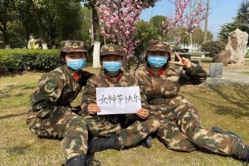 问候铿锵玫瑰特别的节日特别的献礼