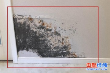 保利精装房引业主不满一套房提出100多条整改意见