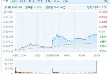恒指收跌1.14%险守24000点石油股午后上升中海油涨超1%