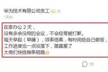 为什么谷歌苹果都搞不定在家工作