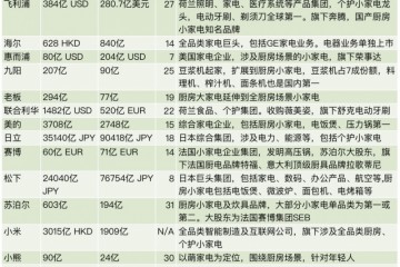 消费品品类速览小家电