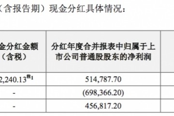 中兴通讯上一年盈余超51亿获46个5G商用合同