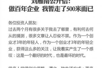 美利车金融斥逐职工背面创始人被捕曾称要做一家百年企业