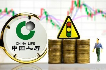 稳妥五巨子薪酬比照新华27万人寿23.6万安全21万最穷