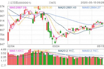 两市高开沪指涨0.36%粤港澳大湾区板块开盘大涨