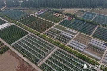 风行国际的数字农业落地上海变成啥样了