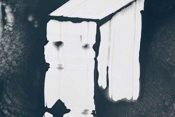 【评论】非常形