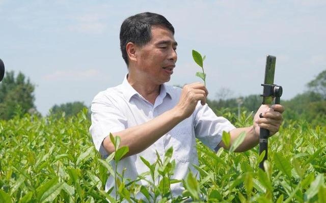 河南网红县长和他的961场助农直播