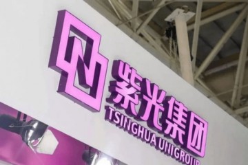 深究赵伟国关于紫光集团重组的公开声明