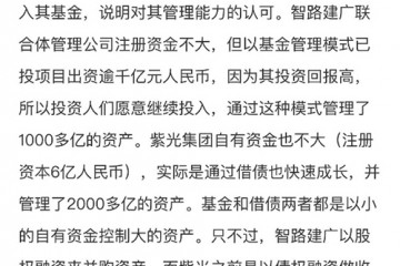 从两种经营管理模式 看紫光集团重组风波