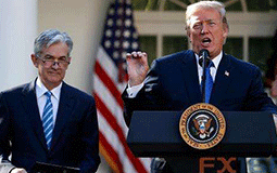 央视探访的霍山米斛市价竟达60万